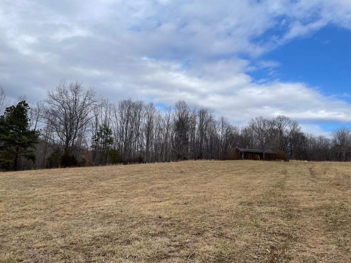 Giggling Creek Cottage - Bedjet! King Sized! Gazebo, 45 Acres, Arcades, Nintendo, More Henry Exterior photo