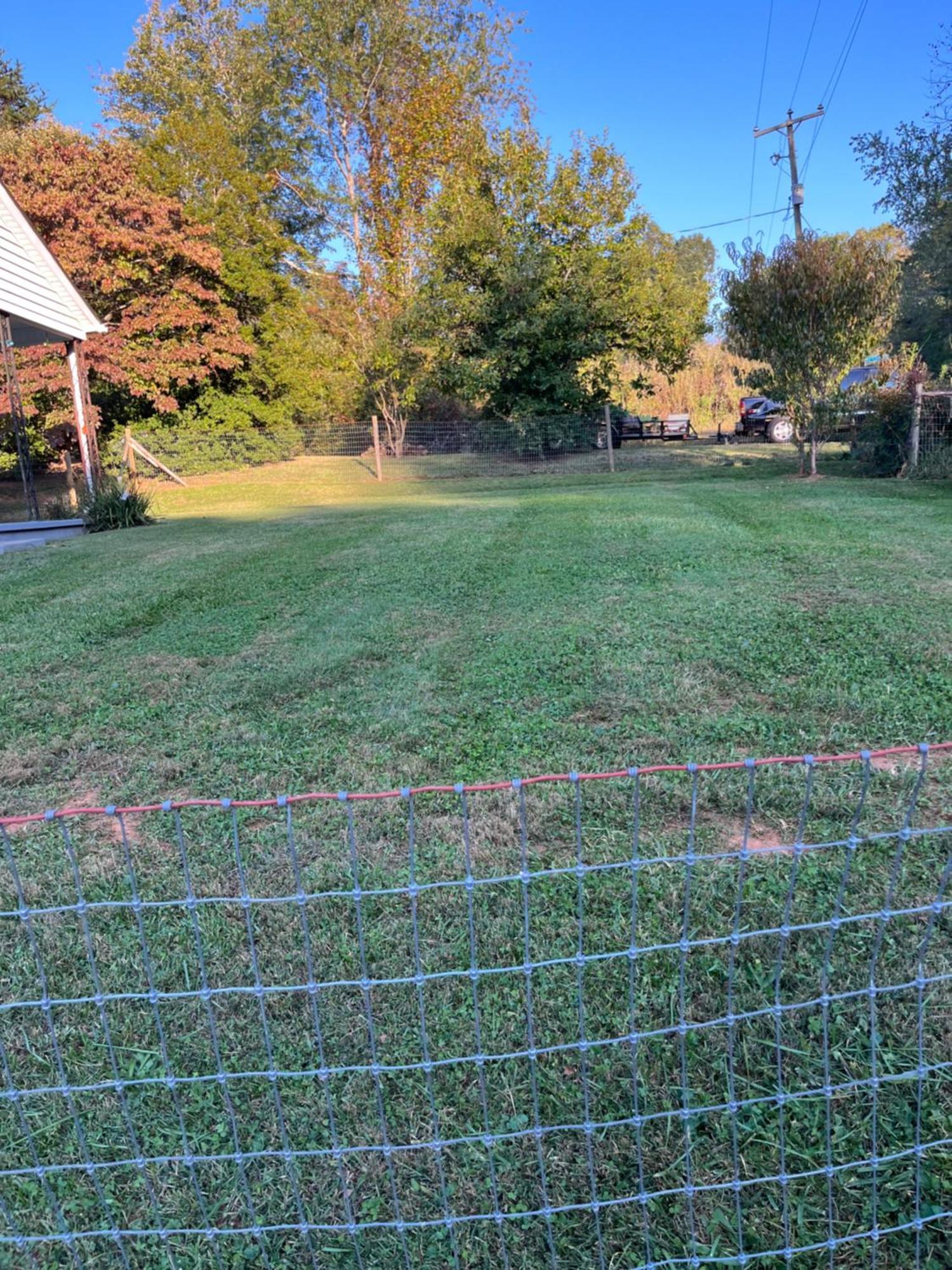 Giggling Creek Cottage - Bedjet! King Sized! Gazebo, 45 Acres, Arcades, Nintendo, More Henry Exterior photo